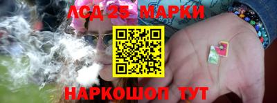 шишки Сланцы