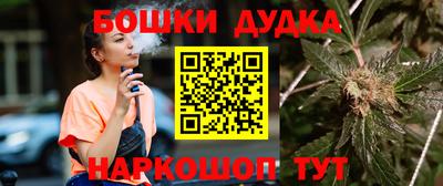 шишки Сланцы