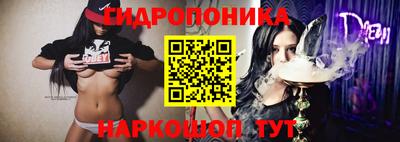 шишки Сланцы